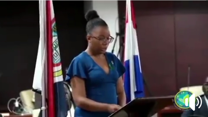 New Video 10 Parliament-of-Sint-Maarten-Youth The Latest From SXM Great! - St Maarten News
